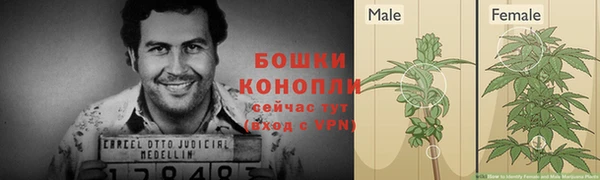 МДПВ Верея
