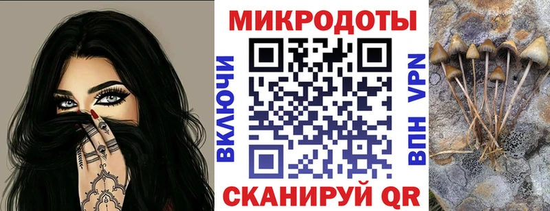 blacksprut ССЫЛКА  Серафимович  Псилоцибиновые грибы GOLDEN TEACHER 